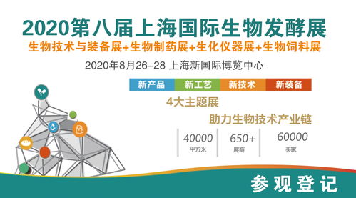 10套化工流程图、布置图及设备图在互联网接入及相关服务领域的应用与价值
